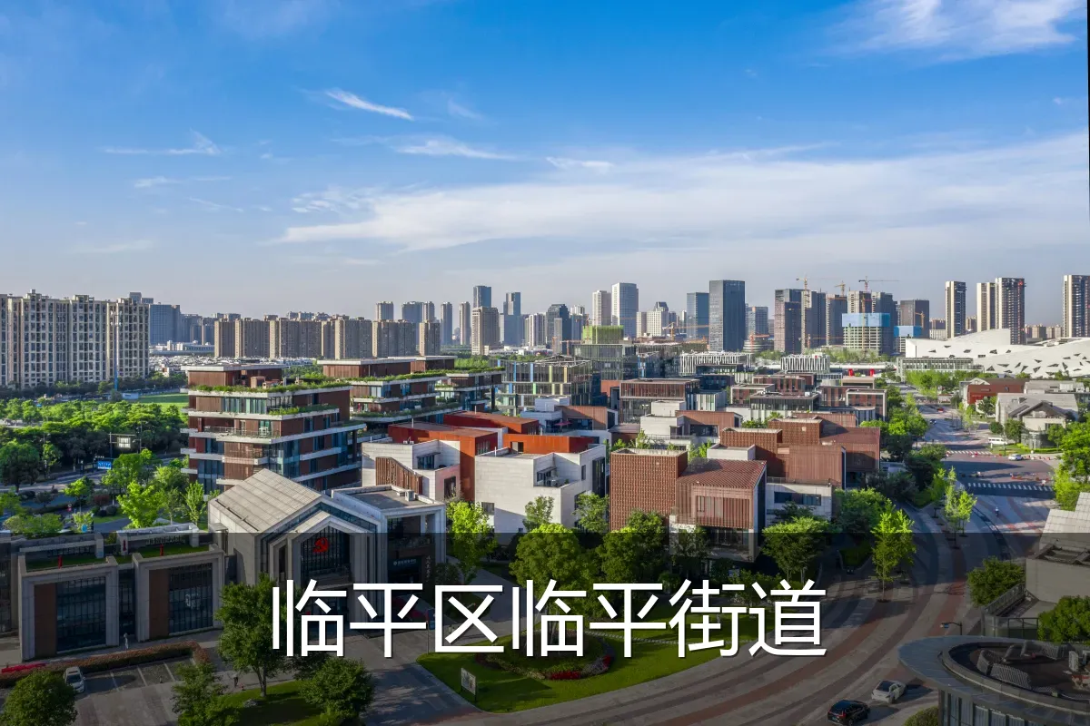 临平区临平街道