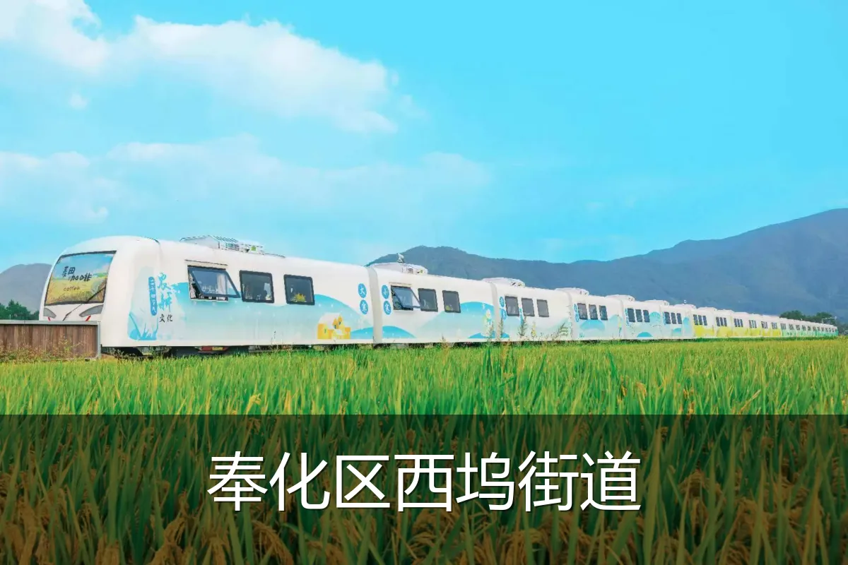 奉化区西坞街道