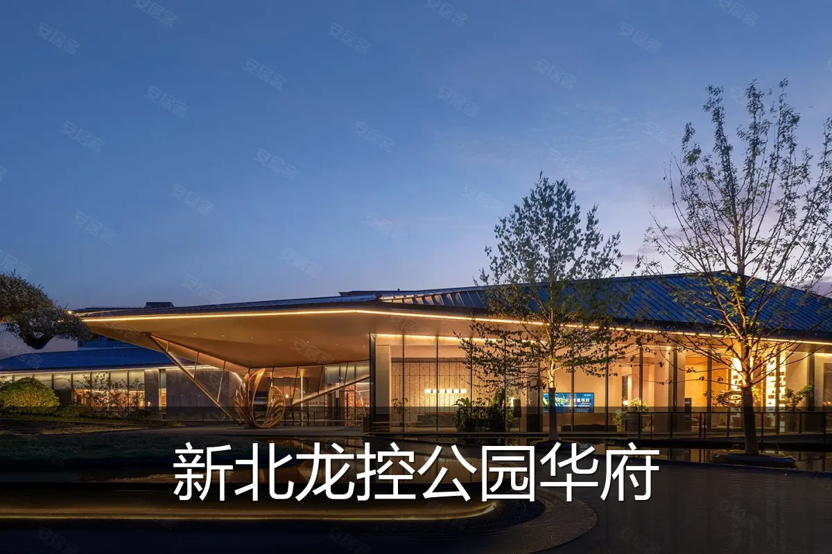 新北龙控公园华府