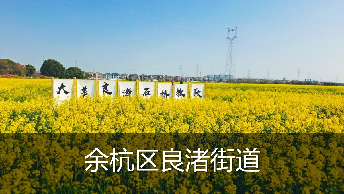 余杭区良渚街道
