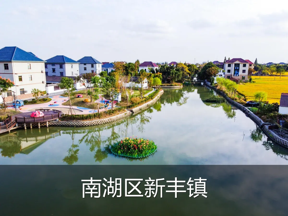 南湖区新丰镇