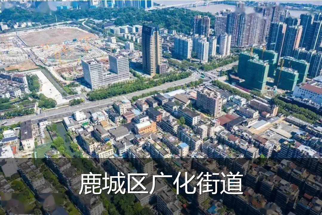 鹿城区广化街道