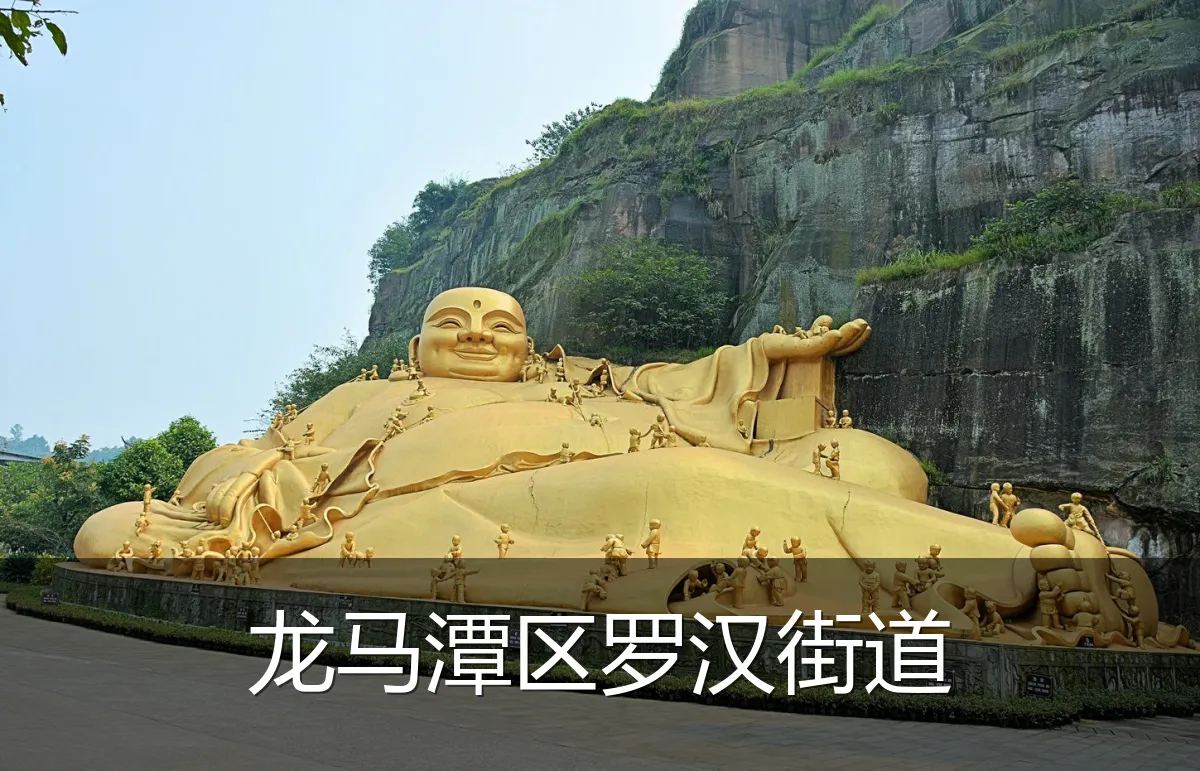 龙马潭区罗汉街道