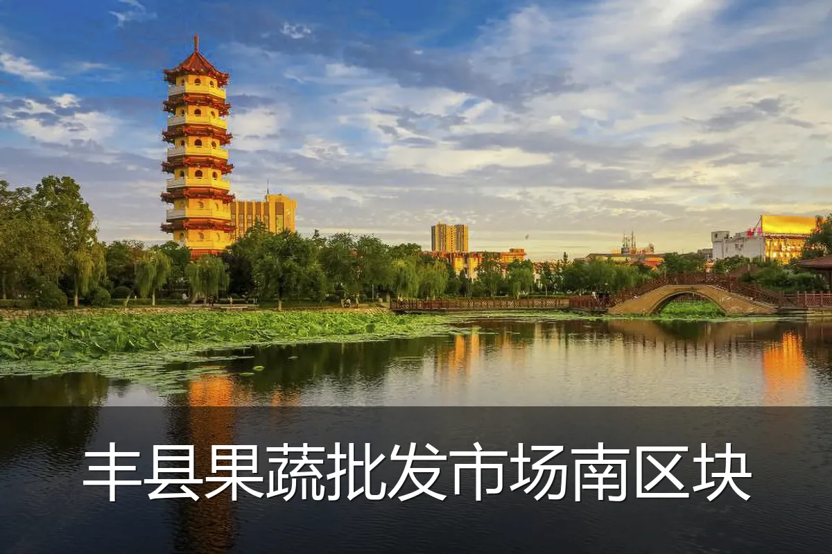 丰县果蔬批发市场南区块