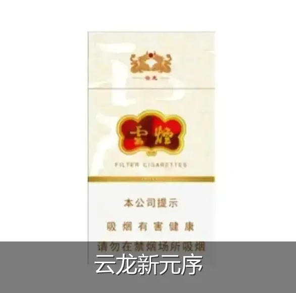 云龙新元序