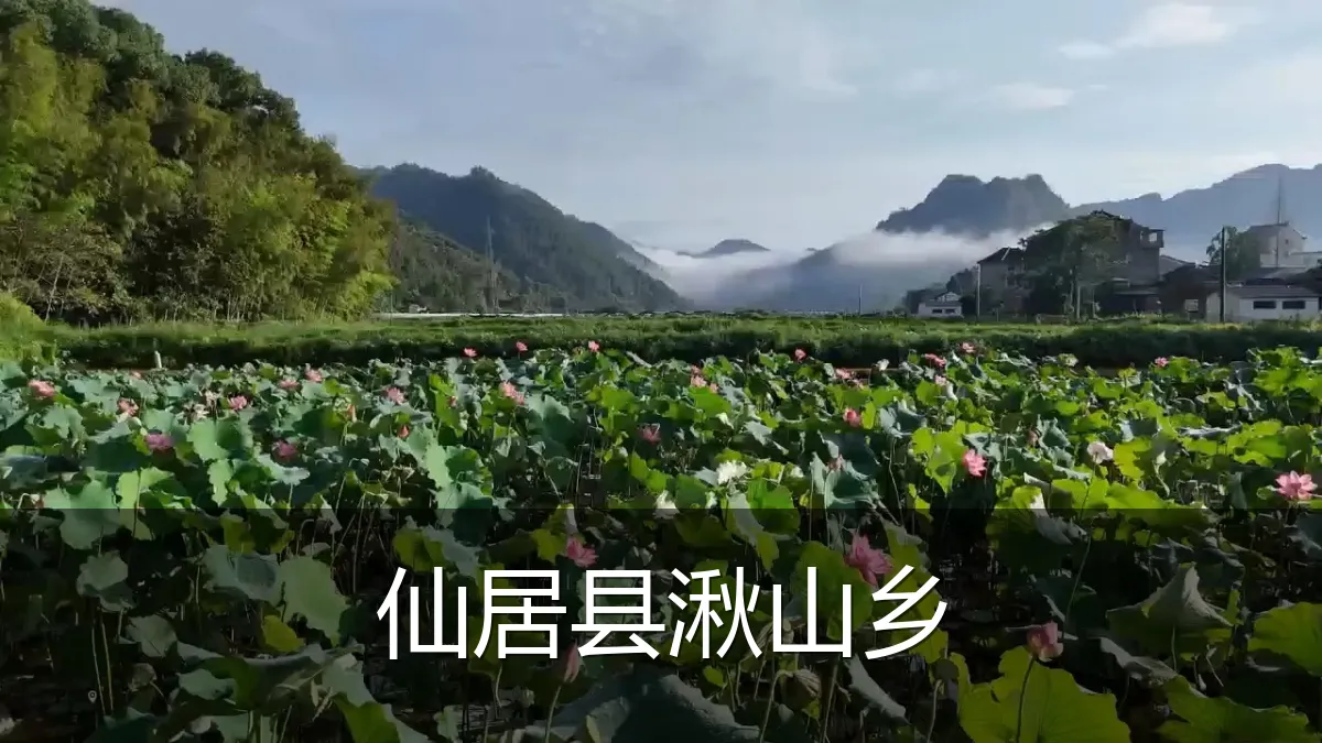 仙居县湫山乡
