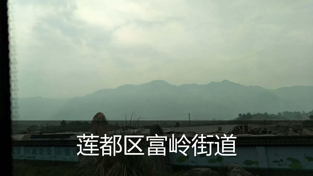 莲都区富岭街道