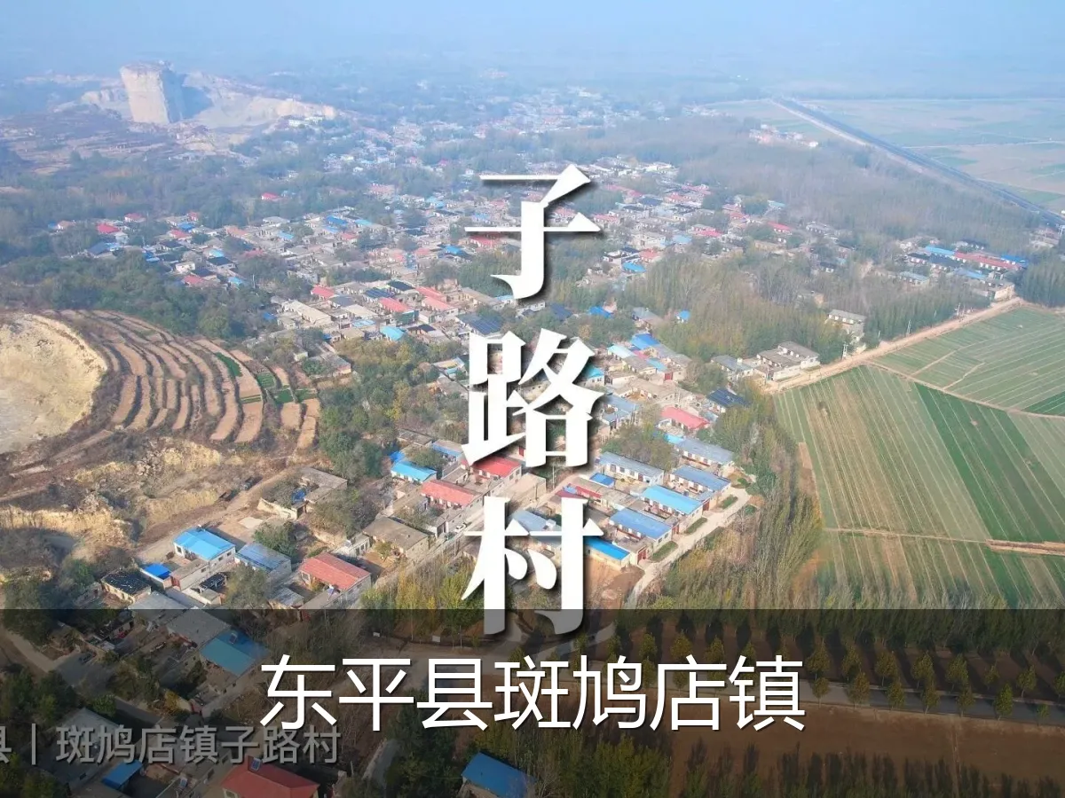 东平县斑鸠店镇