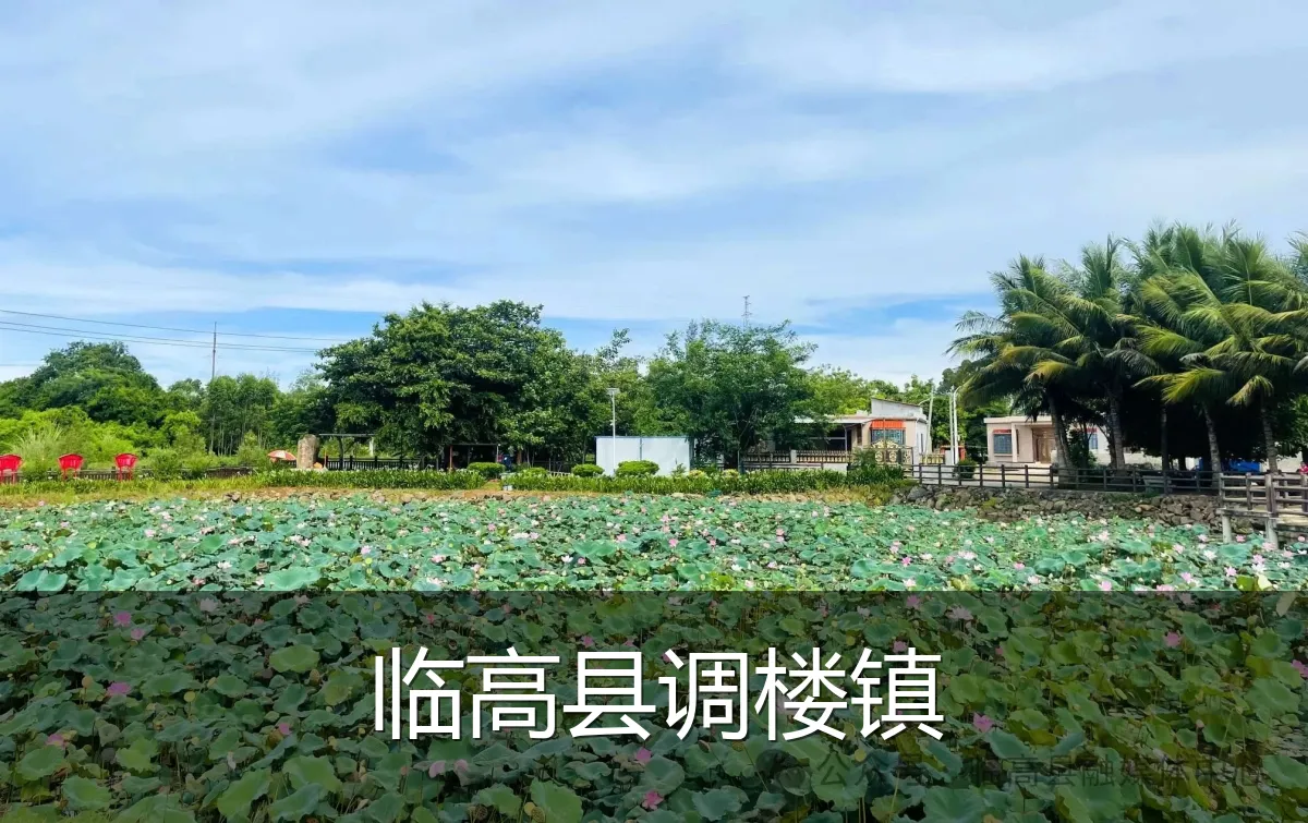 临高县调楼镇