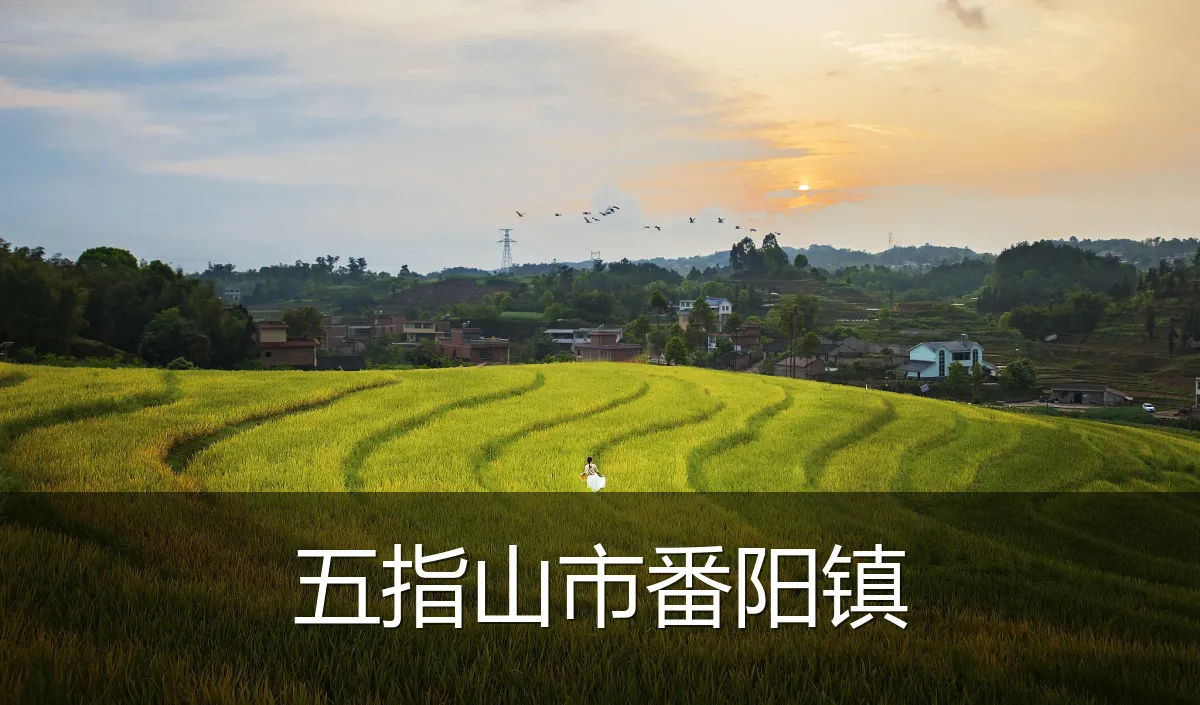五指山市番阳镇