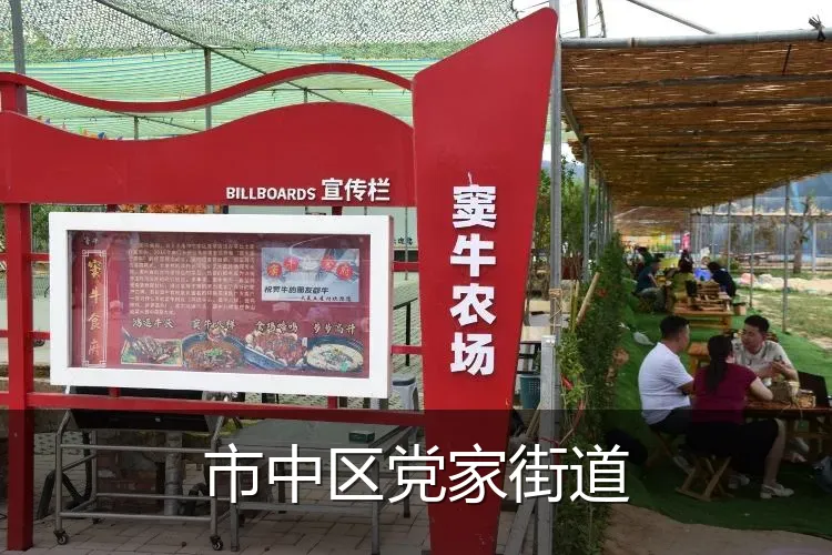 市中区党家街道