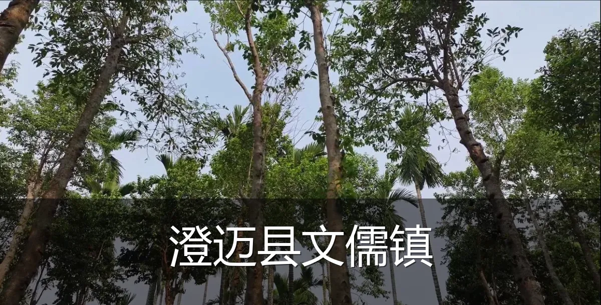 澄迈县文儒镇