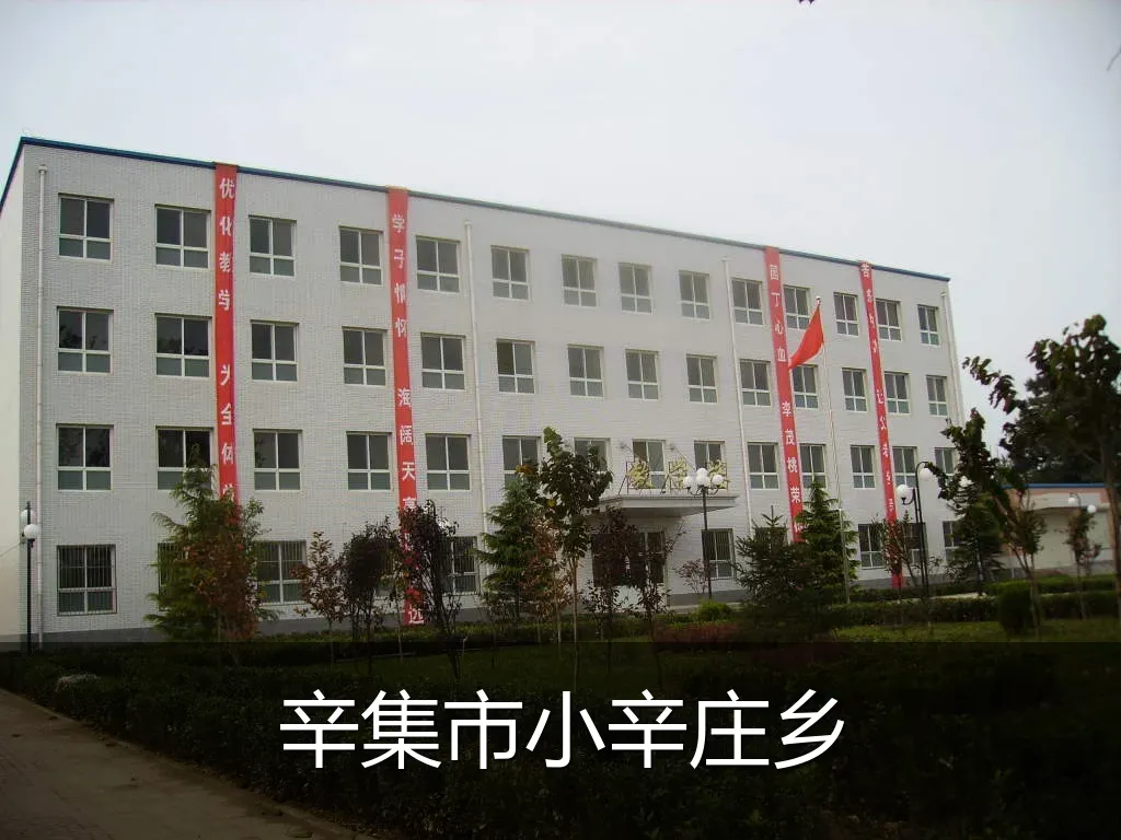 辛集市小辛庄乡