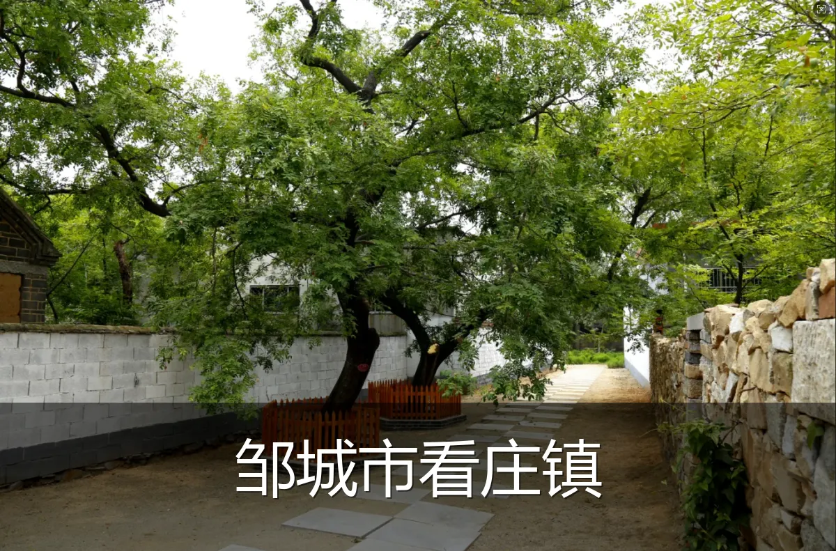 邹城市看庄镇